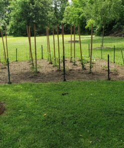 BLACK+DECKER 20V MAX* Tiller (LGC120) 20V Cultivator/Tiller Kit 35 91tnGXYO 6L