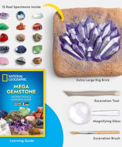 NATIONAL GEOGRAPHIC Mega Gemstone Dig Kit – Dig Up 15 Real Gemstones and Crystals, Science/Mining Kit for Kids, Gift for Girls and Boys, Rock Collection (Amazon Exclusive) 27 91tsTyo7yEL