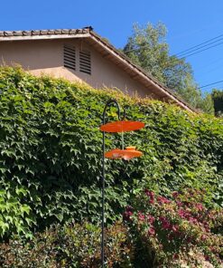 Kettle Moraine Super Oriole Recycled Orange Fruit, Jelly, Mealworm Bird Feeder w/Orange Roof 34 91twD268lNL