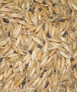 Antler King No Sweat No Till Plot Mix 19 91u DA3LjVL