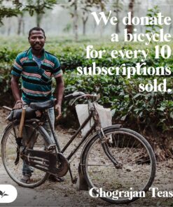 English Breakfast Loose Leaf Black Tea (200+ Servings) - Fresh Harvest - Strong Full Bodied Whole Leaf Assam Black Tea - Farm2Cup from 5th Generation Tea Farm - Bulk Pack - 1 Pound Sealable Pouch 1 Pound (Pack of 1) 20 91u419cSW0L