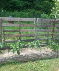 EZ-Straw Just Straw Clean Processed Straw – Multi Purpose - Small Bale (1 Cubic Foot) 1-(Pack) 19 91uZtzMftL