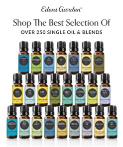 Edens Garden Good Night Essential Oil Synergy Blend, 100% Pure Therapeutic Grade (Undiluted Natural/Homeopathic Aromatherapy Scented Essential Oil Blends) 10 ml 10 ml (.33 fl oz) 18 91ujP9w 9bL 1