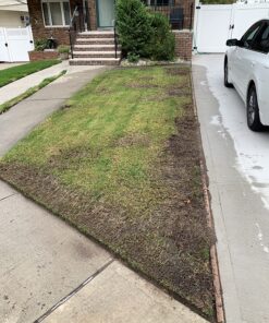 Scotts Turf Builder Grass Seed Fall Overseeding Mix, Thickens & Strengthen to Help Prevent Future Weeds, 15 lbs. 15 lb. 37 91umW9FM7RL