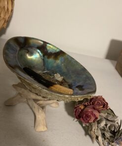 Smudge Kit - White Sage, Palo Santo, Abalone Shell, Smudging Feather for Healing, Purifying, Meditating & Incense (Essentials Plus) 41 91v3TSvOeL