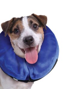 KONG - Cloud Collar - Plush, Inflatable E-Collar - For Injuries, Rashes and Post Surgery Recovery - For Medium Dogs/Cats Standard Packaging 20 91vA7zNDSL