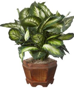 Alternative view of Nearly Natural Triple Golden Dieffenbachia with Wood Vase, Green, 20" x 18" x 22"