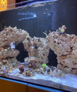 Chemi-Clean - 2 g 2g 46 91vHbdwwSFL