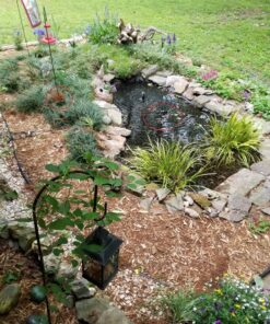 TetraPond Submersible Flat Box Filter, For 250 To 500 Gallon Ponds 36 91vI6v2VPL