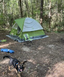 Coleman Sundome Camping Tent, 2/3/4/6 Person Dome Tent with Snag-Free Poles for Easy Setup in Under 10 Mins, Included Rainfly Blocks Wind & Rain, Tent for Camping, Festivals, Backyard, Sleepovers Palm Green 6 Person 43 91vIP9r8v5L 1