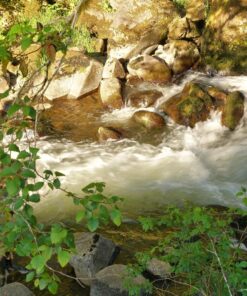 Photomatix Pro 6 PC/Mac 31 91vbwHbyTL