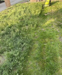 Sun Joe MJ401E 14-Inch 12-Amp Electric Lawn Mower w/Collapsible Handle for Storage, 3-Position Height Control, 10.6-Gallon Bag, Green Original Version 55 91veexmvfeL