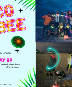 Nite Ize Flashflight LED Light Up Flying Disc Replaceable Batteries Disc-o 44 91vnHmYXrcL