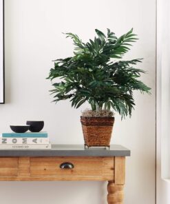Nearly Natural 6556 Bamboo Palm with Wicker Basket Silk Plant,Green 12 91voHA88SvL