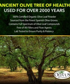 Olive Leaf Capsules Bulk 1000 Ct - 550 mg Vegetable Capsules - Pure Organic Olive Leaf Powder with No Fillers - Immune Support Antioxidant Supplement 11 91wQnlCpwpL 1