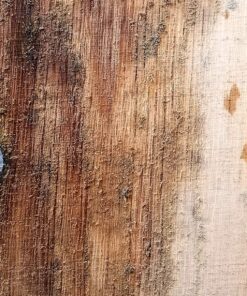 Garrett 1140900 Pro-Pointer AT Waterproof Pinpointing Metal Detector, Orange 32 91wf ysk4nL