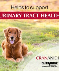 Nutramax Laboratories Crananidin Cranberry Extract Urinary Tract Health Supplement for Dogs, 75 Chewable Tablets 75 Count 26 91x1MRFTYfL
