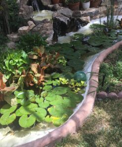 Flex Seal Liquid, 1 Gallon, White, Liquid Rubber Coating Sealant, Waterproof, Flexible, Breathable, and UV Resistant, Roof Repair, Basements, RV, Campers, Trailers, Marine, EPDM, Masonry 1-gal 43 91xEcg2yXaL