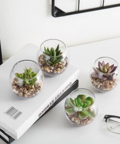 MyGift Assorted Artificial Succulent Fake Plant in Small Clear Glass Display Vases, Set of 4 24 91xL79zzMaL