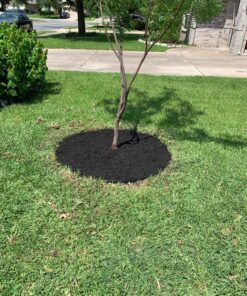 EasyFlex 1989N-24C Spiral Landscape Edging Anchoring Spikes, 24 Count 20 91xSFkKOU1L