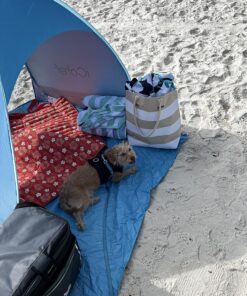 iCorer Automatic Pop Up Instant Portable Outdoors Quick Cabana Beach Tent Sun Shelter Blue 31 91xYT4nzviL