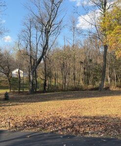 Hubbell-Bell SL101B Portable Spike Light Par 38 Bulb Bronze Finish, 75-150 Watt 22 91xZnUnbzSL