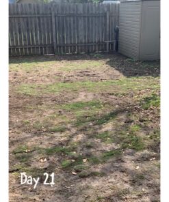 Scotts Turf Builder Grass Seed Bermudagrass, Mix for Full Sun, Built to Stand Up to Heat & Drought, 5 lbs. 5 lb. 81 91xgOrNehL