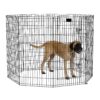 MidWest Homes for Pets Foldable Metal Dog Exercise Pen / Pet Playpen, Black w/ door, 24'W x 48'H, 1-Year Manufacturer's Warranty 48" H 24 91xlaf5uekL