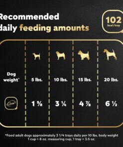 CESAR Adult Wet Dog Food Loaf & Topper in Sauce Rotisserie Chicken Flavor with Bacon & Cheese, 3.5 oz. Easy Peel Trays, Pack of 24 3.5 Ounce (Pack of 24) 26 91xo baIzYL 2