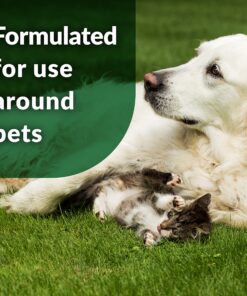 Simple Green Outdoor Odor Eliminator for Pets, Dogs, 1 gallon Refill - Ideal for Artificial Lawns & Patio, Milky White 26 91xu6Z6P79S