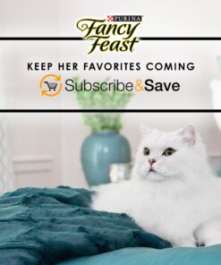 Purina Fancy Feast Tender Chicken and Liver Feast Classic Grain Free Wet Cat Food Pate - (24) 3 oz. Cans Liver & Chicken 3 Ounce (Pack of 24) 27 91yRjWOZYL 2