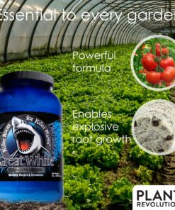 Plant Revolution PRPSGW01 Premium White Mycorrhizae, 1 oz, 1 Ounce, Gray 26 91yYei88 NL