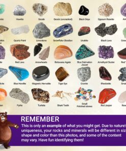 DANCING BEAR Rock, Mineral & Geodes Treasure Hunt Activity Kit (200 Pc Set) Real Shark Teeth Fossils, ID Sheet & Rock Book, STEM Rock, Mineral & Geodes Collection 40 91yYkiU7GES