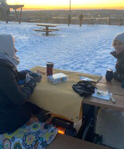 Mr. Heater F232017 MH9BXRV Buddy Grey Indoor-Safe Portable RV Radiant Heater (4,000-9,000-BTU) 27 91yly1syU6L