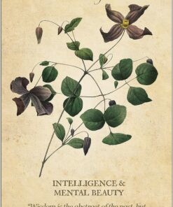 Botanical Inspirations Deck & Book Set 43 91yrnM6WqtL