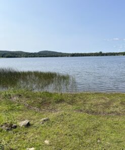 Jenlis The Original Weed Razer, Lake Weed Cutter, Large Pond Aquatic Plant Cutting Tool, Long and Sharp Razor Blades Shear Cattail, Reed, Lilly & Chara Algae, 48 Inch Cut Width, 25 Foot Throw Rope Jenlis Weed Razer Aquatic Weed Cutter 37 91ywRaVjqyL 1