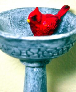 G & F Products MiniGardenn 10027 Fairy Garden Polyresin Miniature, Cardinal Birdbath Pick 20 91yzgL1nMoL 3