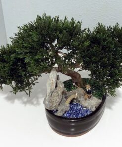 Artificial Japanese Cedar Bonsai Tree 9 inch Tall 18 91z0iMivtyL