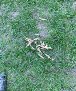 Fi-Shock P-30G 30 Inch Garden Fence Post, Ideal for Gardens and Temporary Fencing - 25 Pack,Dark Green Garden Post 24 91z2afAU9gL