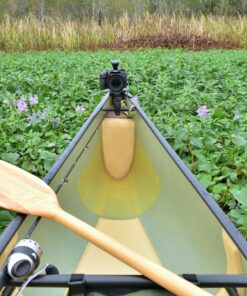 RAM Mounts Ball Adapter with 1/4"-20 Threaded Stud for Action Cameras RAP-B-366U with B Size 1" Ball 30 91zLGvj6YpL