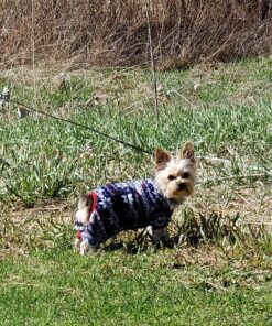 Ultra Absorbent Odor Control Training Pads For Dogs Leak-proof Quick Dry Gel – Extra Large 30 x 28 Pee Pads - Fresh Scented - 50 Count, Pack of 1 XL 30" x 28" - 50 Count, Pack of 1 30 91zNKC1DilL