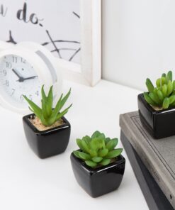 MyGift Set of 3 Faux Succulents in Mini Square Pots - Modern Home Decor Succulent Artificial Plants with Black Ceramic Planter Pot 20 91zNWL tzL