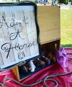 Fun Express Plush Realistic Horses (1 Dozen) Party Favors, Carnival Prizes, Toys, Plush Farm & Woodland, Stuffed Horses 32 91zPiRGJxzL 1