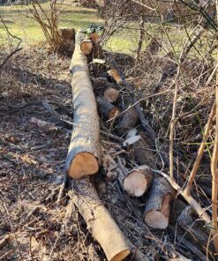 Greenworks 40V 16" Brushless Cordless Chainsaw (Great For Tree Felling, Limbing, Pruning, and Firewood / 75+ Compatible Tools), Tool Only 16" (Tool Only) Gen 1 31 91zaUW1seSL