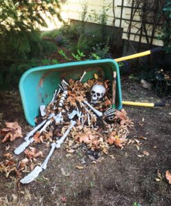 Kangaroo Halloween Bag of Skeleton Bones and Skull- Halloween Graveyard Props- Haunted House Lawn Yard Decorations- Scary Halloween Decorations 30 Pieces Bag of Plastic Bones 39 91zeDye3xyL