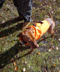 Rickard's DD683 Dog Bell, Nickel Plated 13 91zliyKUwcL