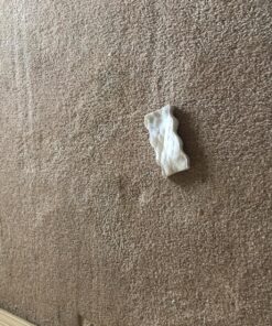 Mr Clean Magic Eraser Pads, 8 Count (Pack of 1) 39 91zqc9tr5UL