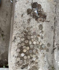 Garrett 1140900 Pro-Pointer AT Waterproof Pinpointing Metal Detector, Orange 30 91zth00u5ZL