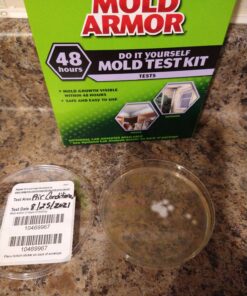 Mold Armor Do It Yourself Mold Test Kit 44 91zzHqOJjCL