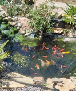 Aquascape 75000 Pond Air 2 (Double Outlet Aeration Kit) 2-Outlet 72 A1 Xt1JZgiL